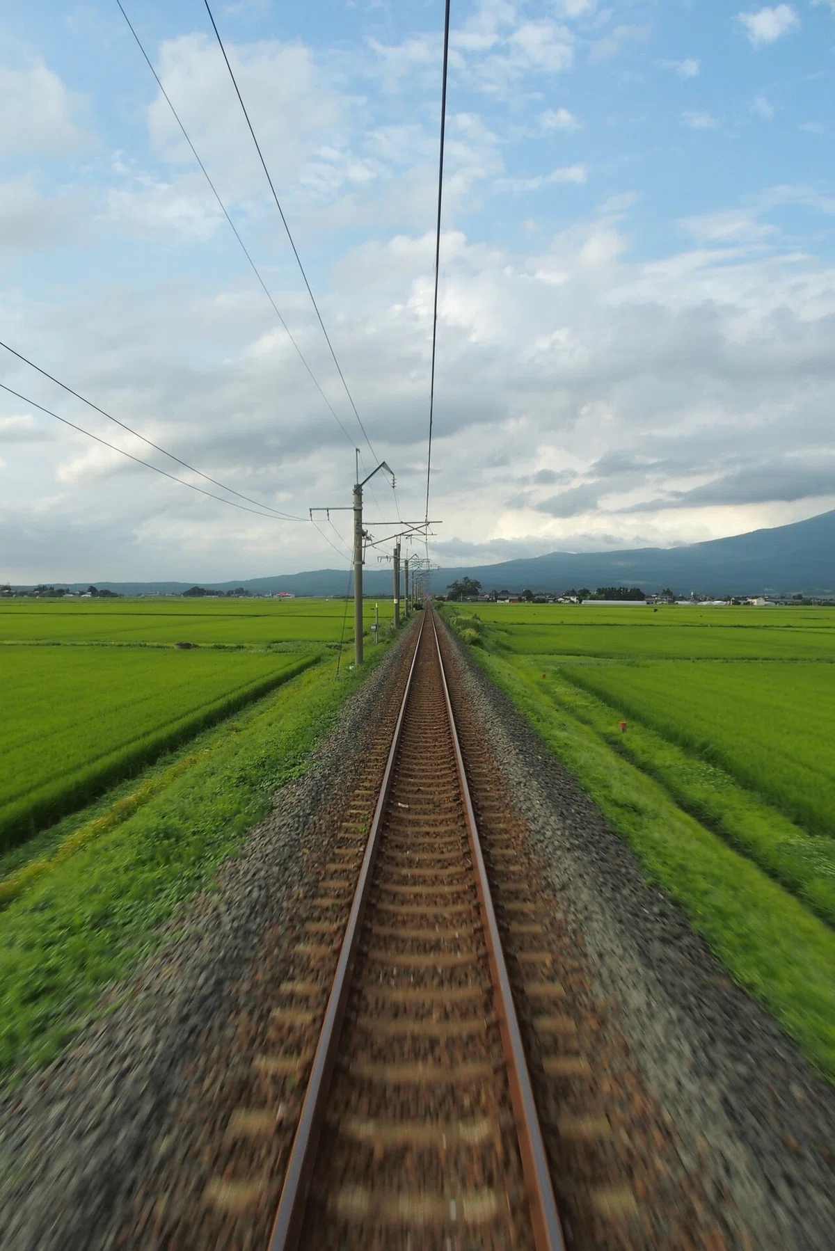 画像17
