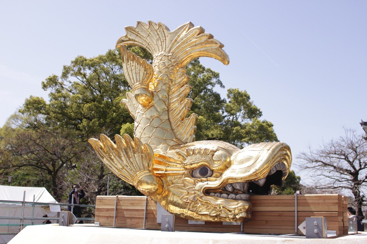 地上に降りた名古屋城の金鯱と桜と思い出と。｜オカダトモコ 旅が好き