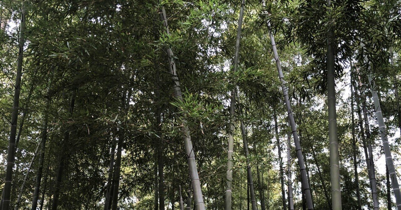 除霊と浄霊 風の章―実技編 楽天ブックス: 除霊と浄霊（風の章 実技編） - 本木松明