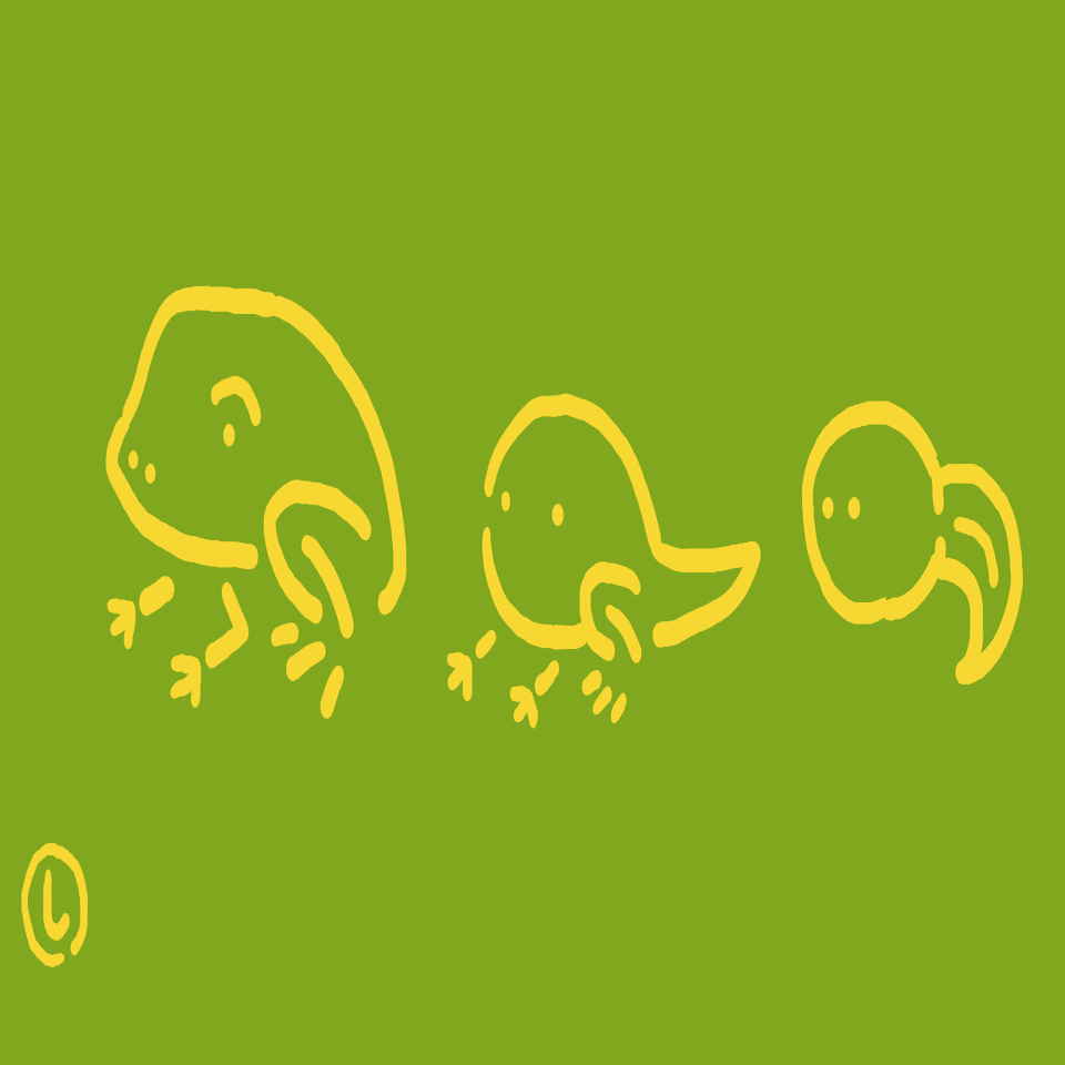 蛙の子は蛙 に相当する英語とスペイン語での表現はどんなもの Sacha スペイン語 英語 日本語 Note