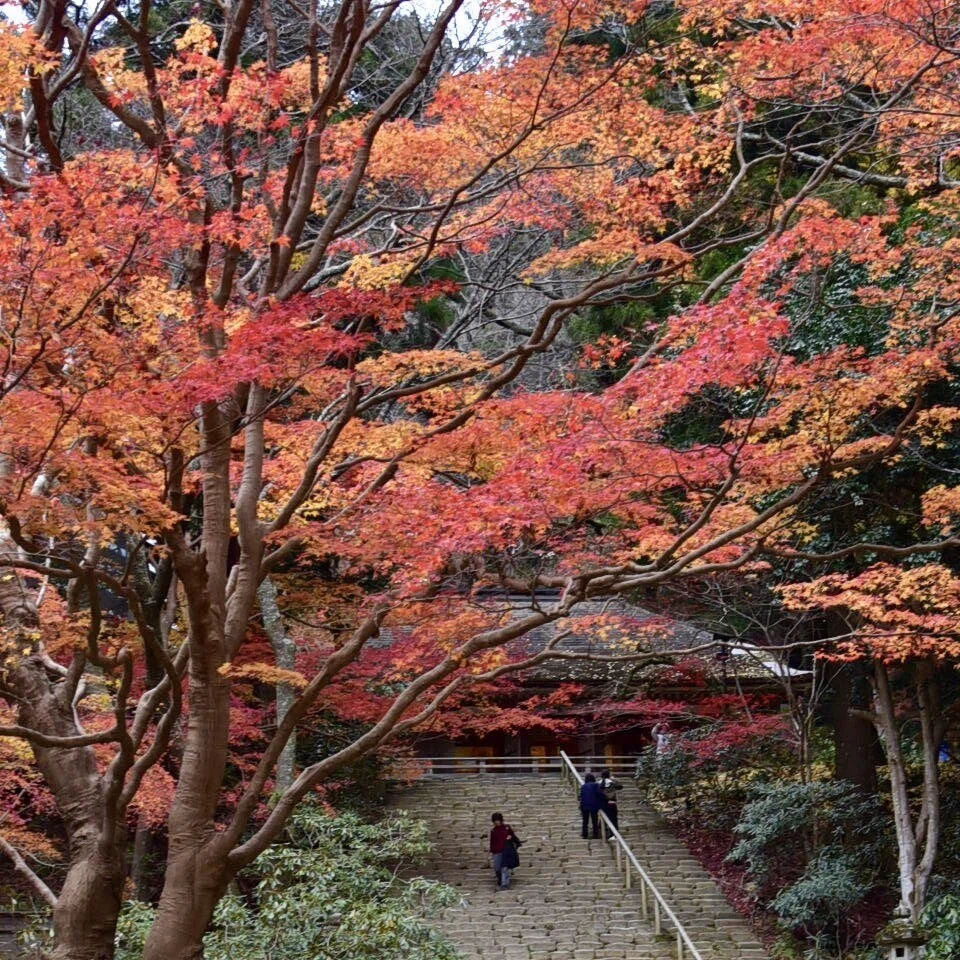 画像82