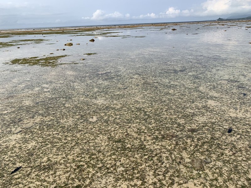 遠浅の海の向こう側を見にいく方法 草取り屋たぼ兵衛 Note