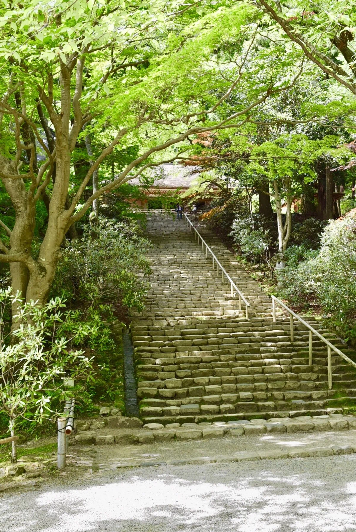 画像83