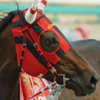 バリアシオン@競馬血統予想