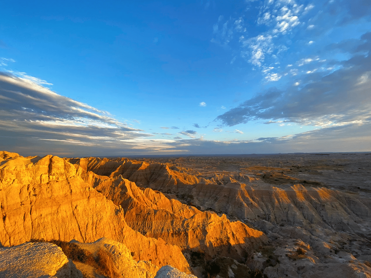 映画 ノマドランド 21年の映画 お望月さん Note 映画 ノマドランド 21年の映画 お望月さん Note