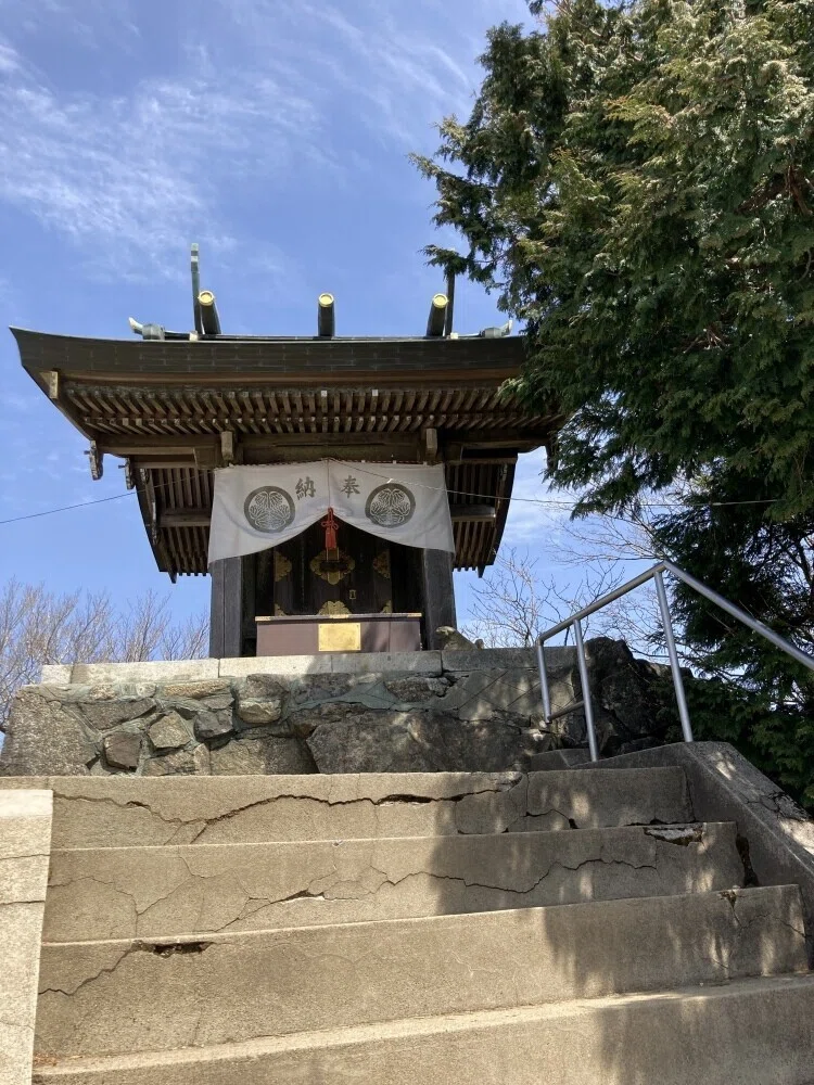 画像5