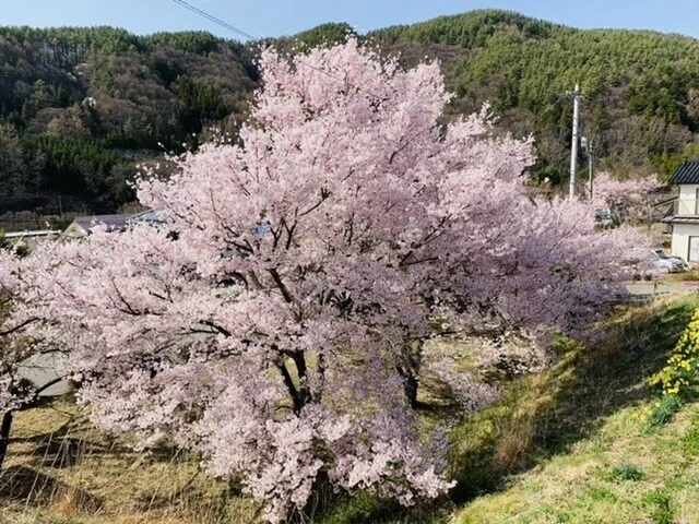 画像2