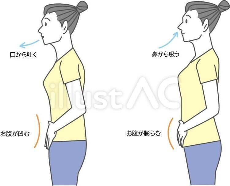 New Style イラストフリー素材 腹式呼吸 無料 イラスト無料提供中 一部有料 Note