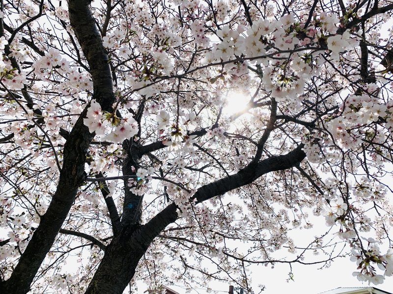 別れたくなる症候群 の新着タグ記事一覧 Note つくる つながる とどける