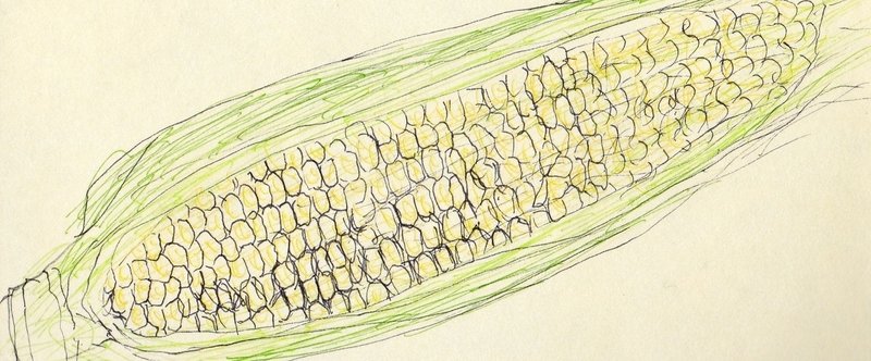 とうもろこし、またはなんば