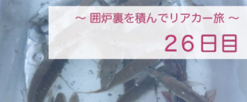 アジ いや アジ 鹿児島県で過ごす最後の日は アジっこを釣りまくった 山崎 貴大 Note