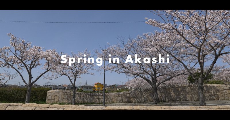 動画で見る明石の春～桜散策～　カメラを持って動画散策してきました。