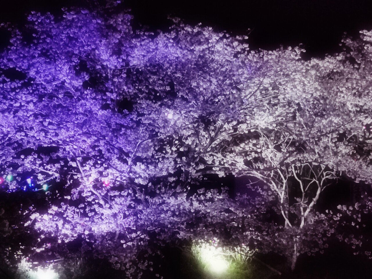 夜桜お七 の新着タグ記事一覧 Note つくる つながる とどける 夜桜お七 の新着タグ記事一覧 Note つくる つながる とどける