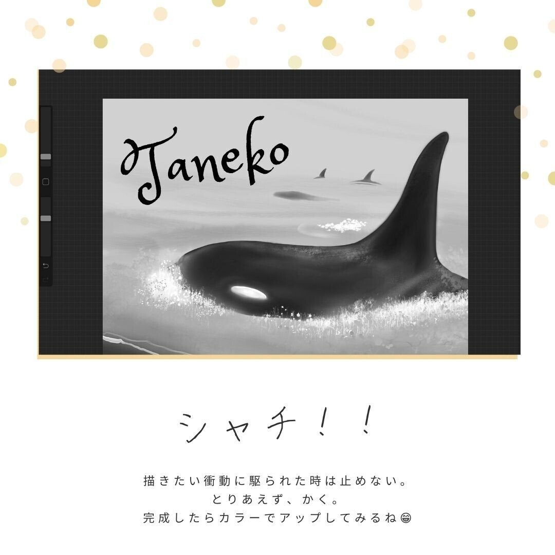今日のイラストはシャチ まだ途中だけど とりあえずあげてみるね たねこ Note