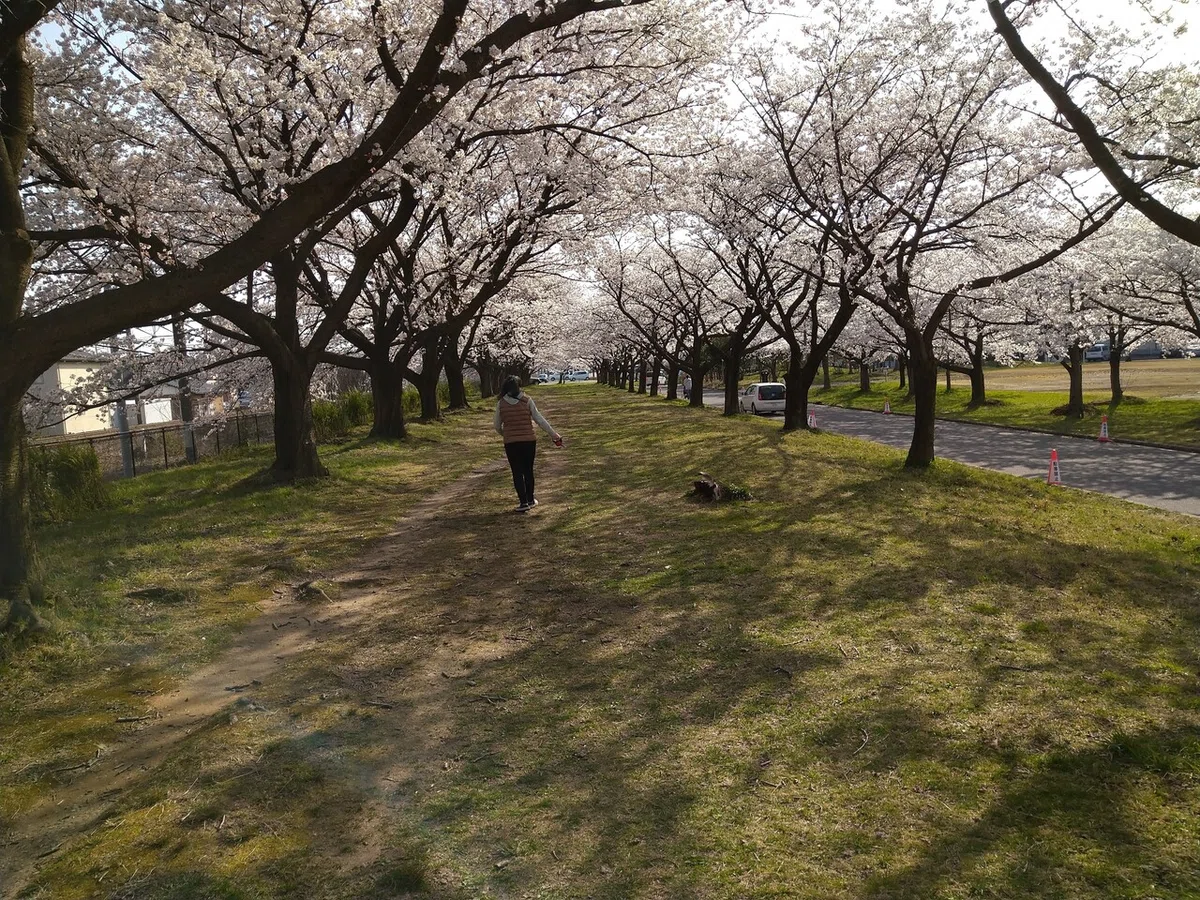 画像15