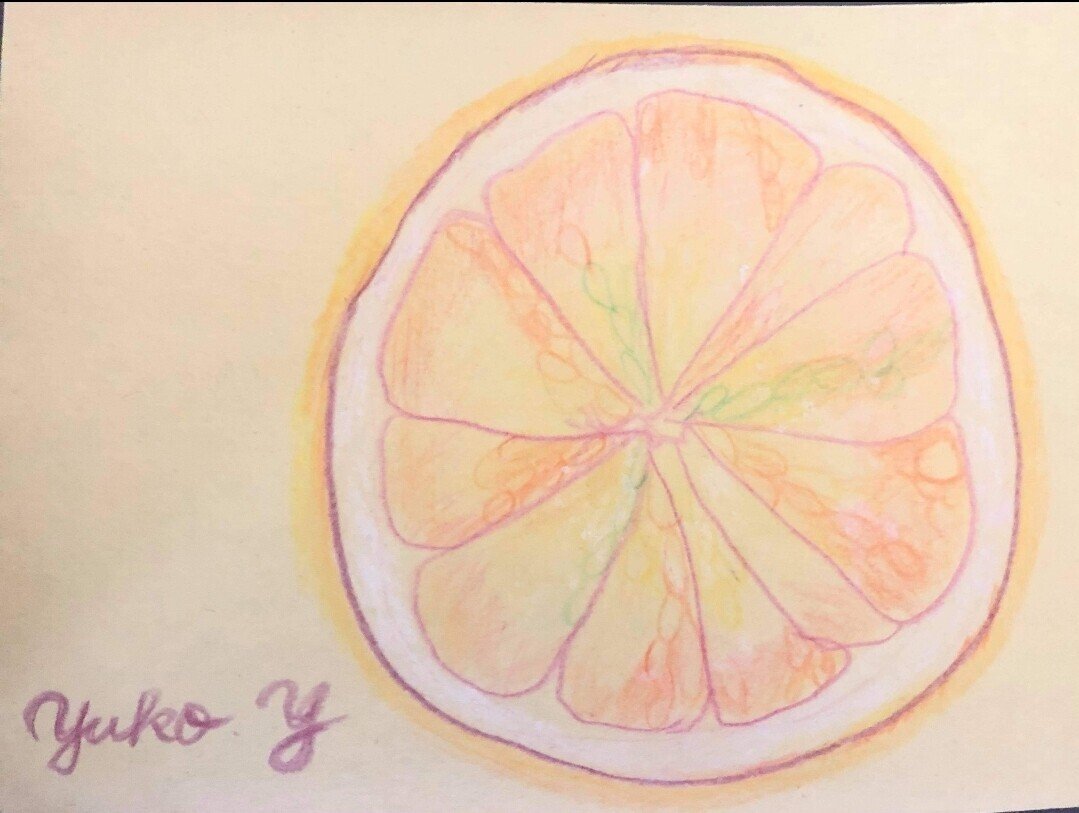 スパッ! 柑橘類の断面図を描こうオンラインアートワークショップ