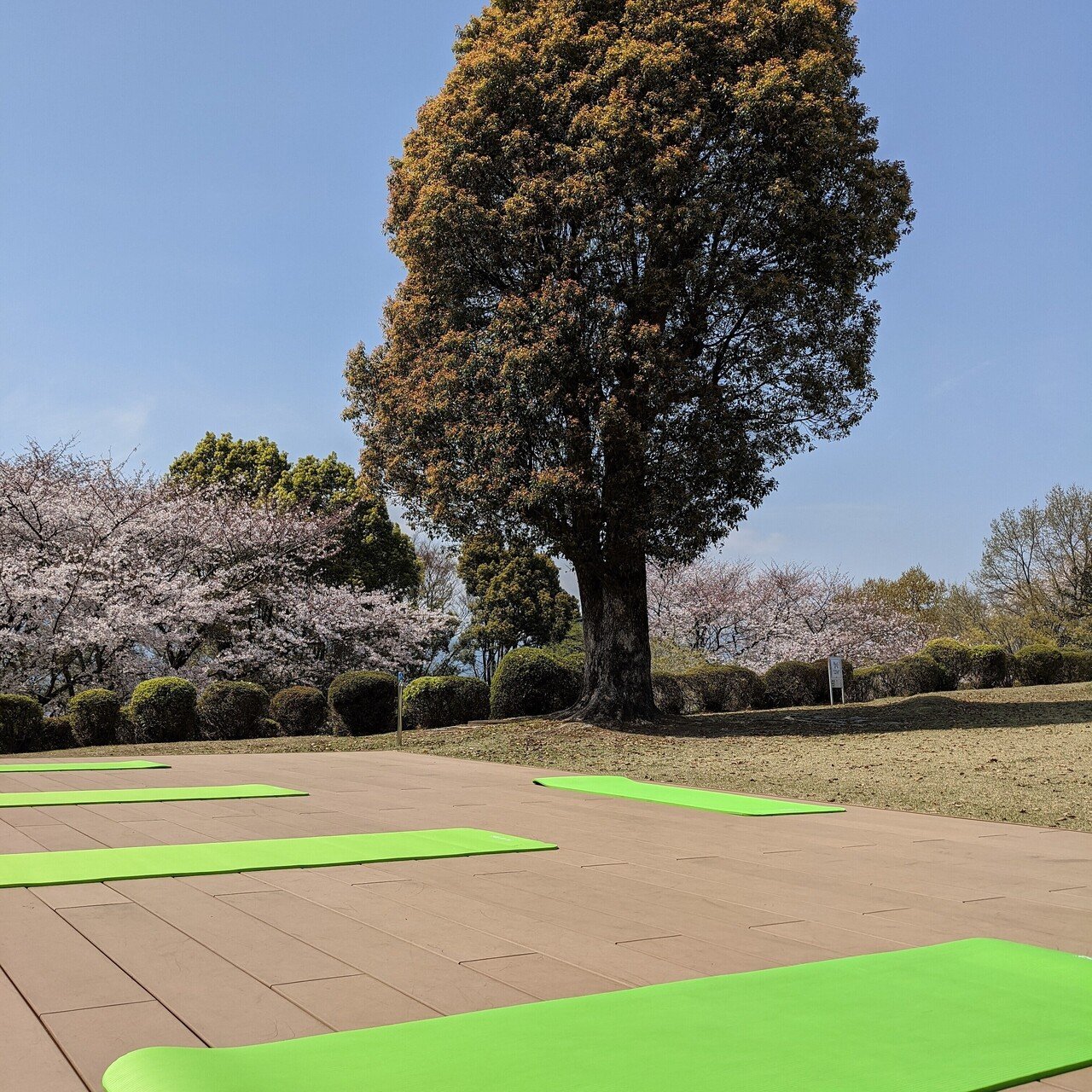 瞑想日記19 今日はゆっくり時間取れた やっぱりいい 先生の本 魂の科学 にあったチャクラの方法でやってみる あまりうまくいかない 下から意識が上がっていっても お腹あたりで止まる感覚 最後はいつもどお 川添明子 ヨーガ指導者 Note 瞑想日記19 今日はゆっくり時間取れた やっぱりいい 先生の本 魂の科学 にあったチャクラの方法でやってみる あまりうまくいかない 下から意識が上がっていっても お腹あたりで止まる感覚 最後はいつもどお 川添明子 ヨーガ指導者 Note