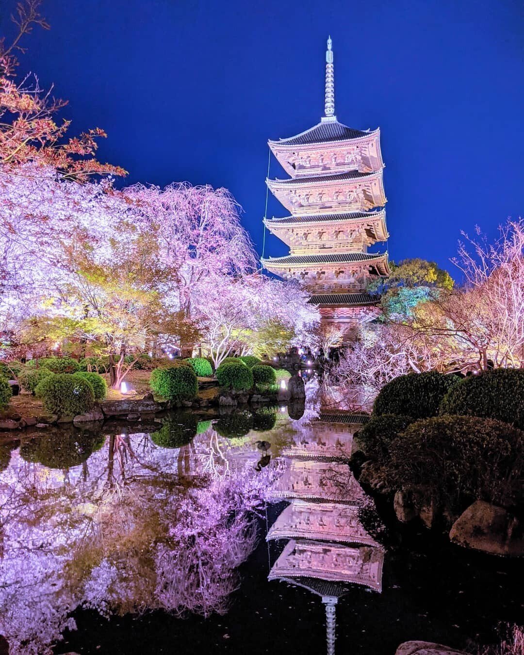 世界遺産の 教王護国寺こと東寺 フェノロサの眠れる東塔 東寺の所有の国宝仏像は 8件で日本で4位の数の多さです 秋と春なら必ず 京都観光のおすすめはどこと 聞かれたらライトアップの 東寺をおす 京都旅てくてく 京都からすみ珍味屋177 Note 世界遺産の 教王護国寺こと東寺 フェノロサの眠れる東塔 東寺の所有の国宝仏像は 8件で日本で4位の数の多さです 秋と春なら必ず 京都観光のおすすめはどこと 聞かれたらライトアップの 東寺をおす 京都旅てくてく 京都からすみ珍味屋177 Note