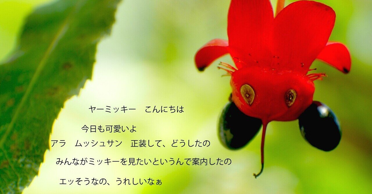 ミッキーマウスの木 の新着タグ記事一覧 Note つくる つながる とどける