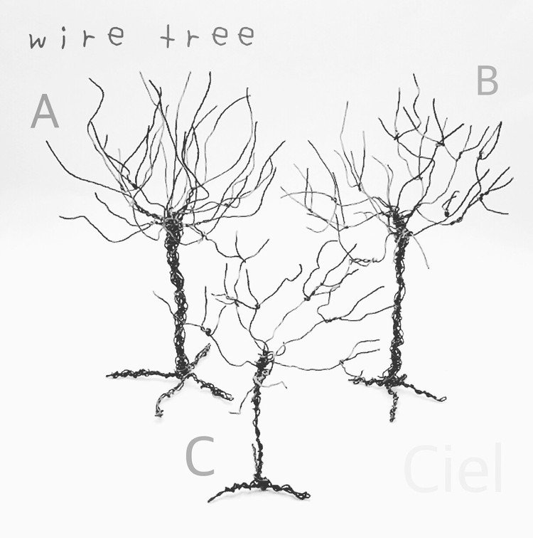 #wire #wirework #wireart #木 #tree 
net shop 販売中！
creema→https://www.creema.jp/creator/1514357/item/onsale
iichi →https://www.iichi.com/mobile/shop/ciels

