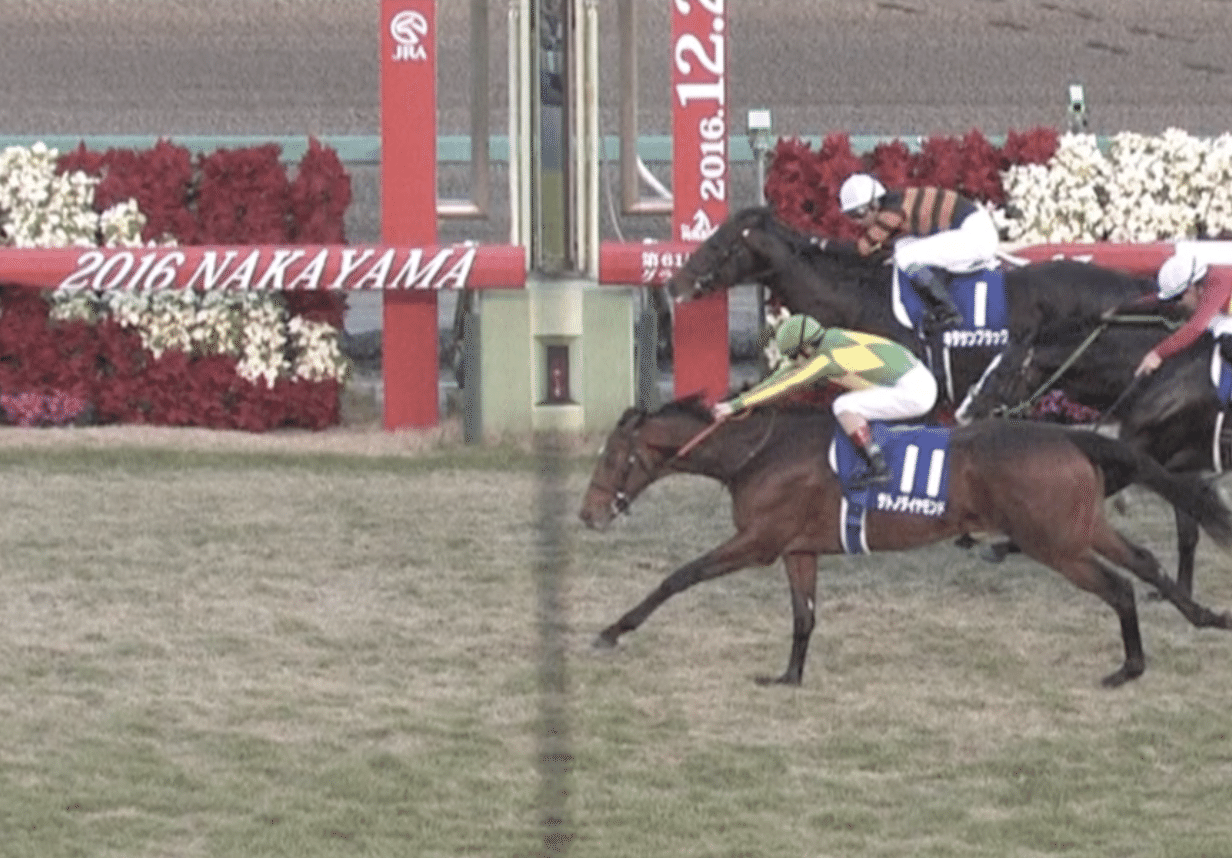 正規取扱店】 競馬 サトノダイヤモンド ポストカード ienomat.com.br