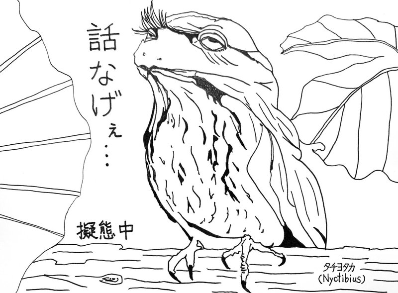 日本人の普通をこの子に押しつけたらかわいそう エンタメ作家okaraさんがマレー人医師に言われて気づいた大切なこと アマンダ Note 日本人の普通をこの子に押しつけたらかわいそう エンタメ作家okaraさんがマレー人医師に言われて気づいた大切なこと アマンダ Note