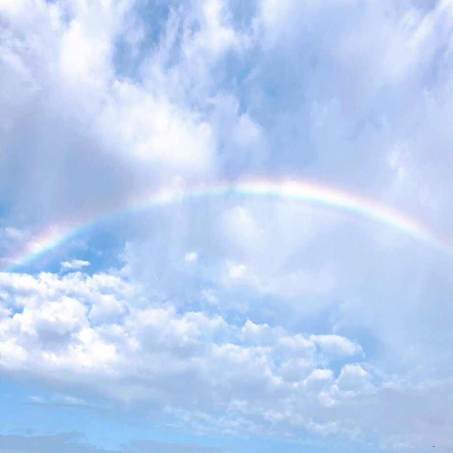 弁当も傘も忘れない コロコロ変わる天気 うらにし 宮津市広報