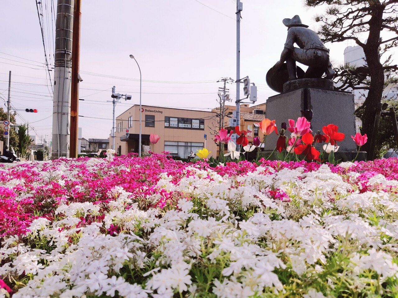 街かどで見つけた春のオアシス 山田幸子フリーアナウンサー Note