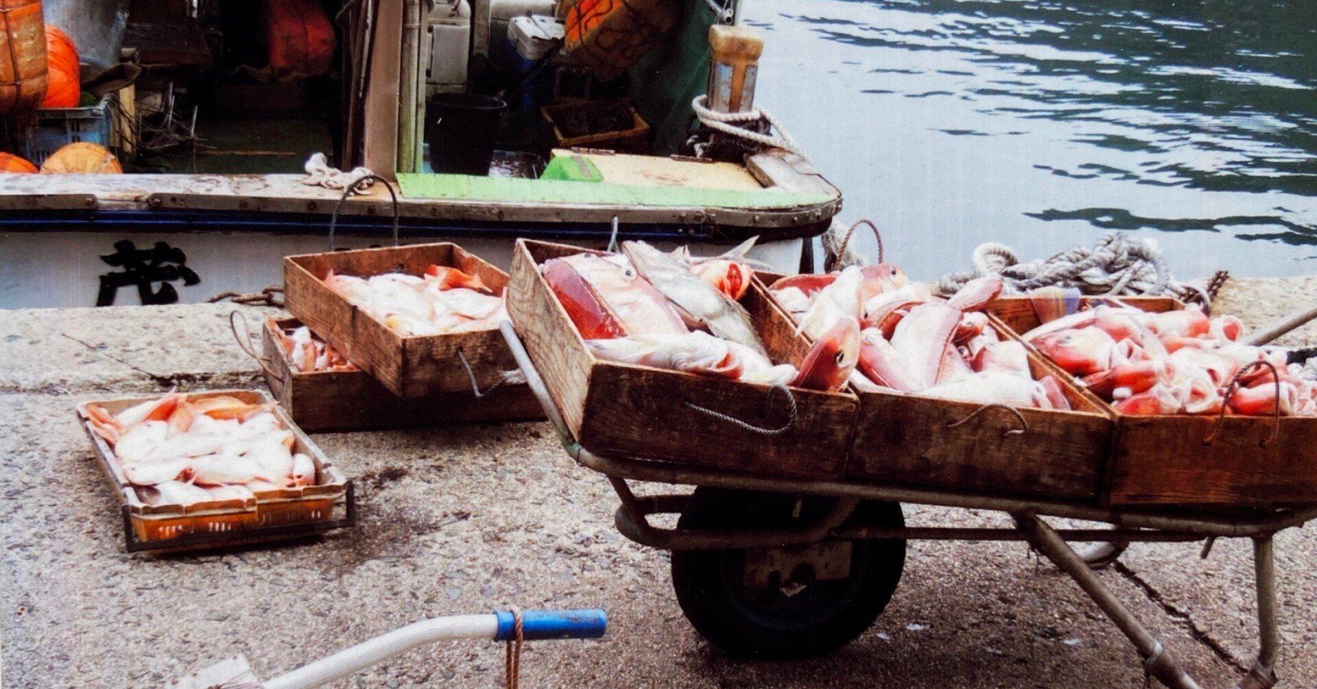 ミナトゴハン 魚の旅 Vol 01 1 島根県出雲市小伊津町 小伊津甘鯛 10 09 ダンノマリコ サカナnote Note