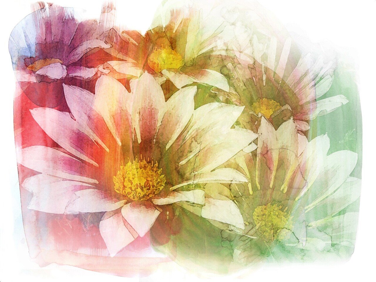 背景素材 花と水彩のコラージュ画像をそろえました 6枚 安良 Note 背景素材 花と水彩のコラージュ画像をそろえました 6枚 安良 Note