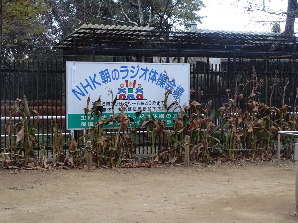 画像6
