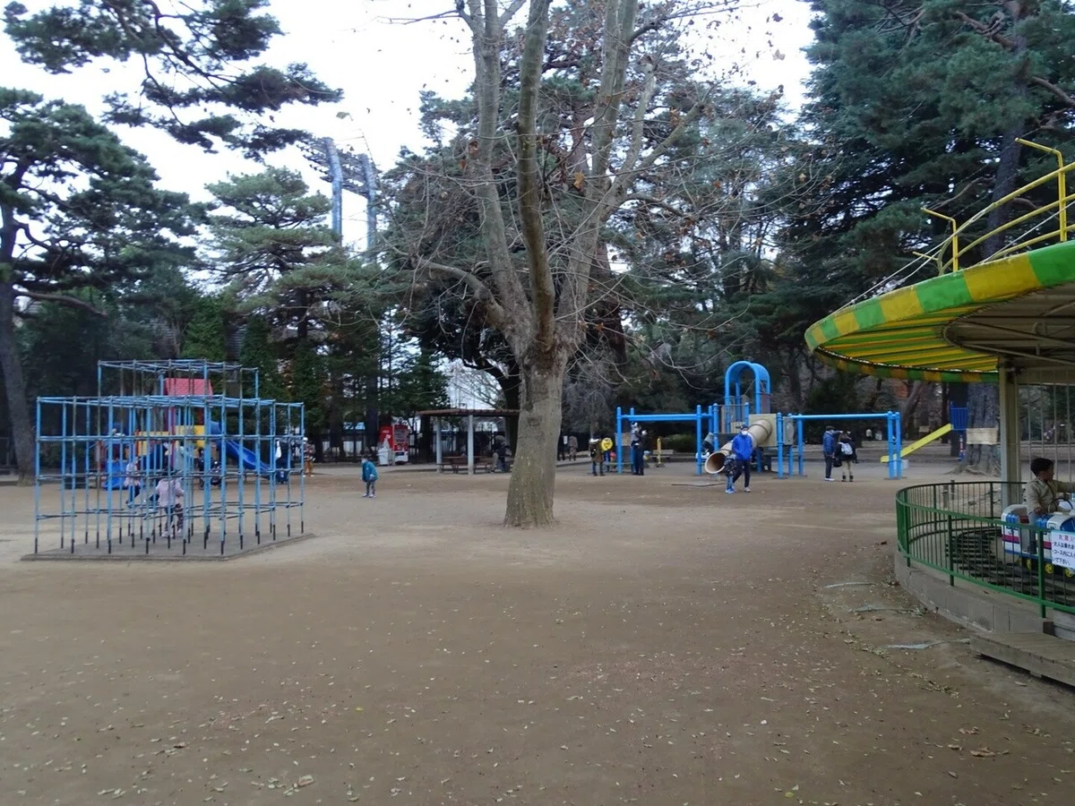画像5