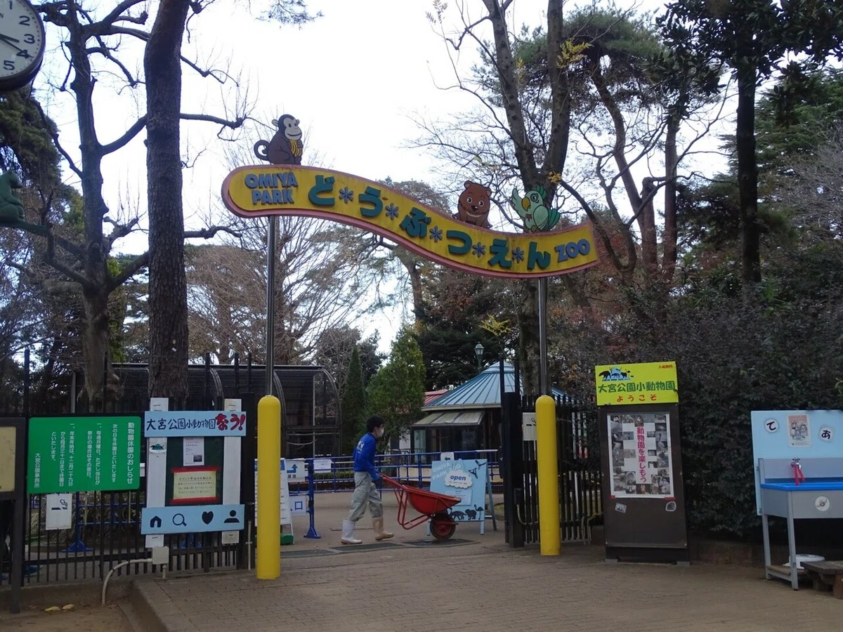 画像7