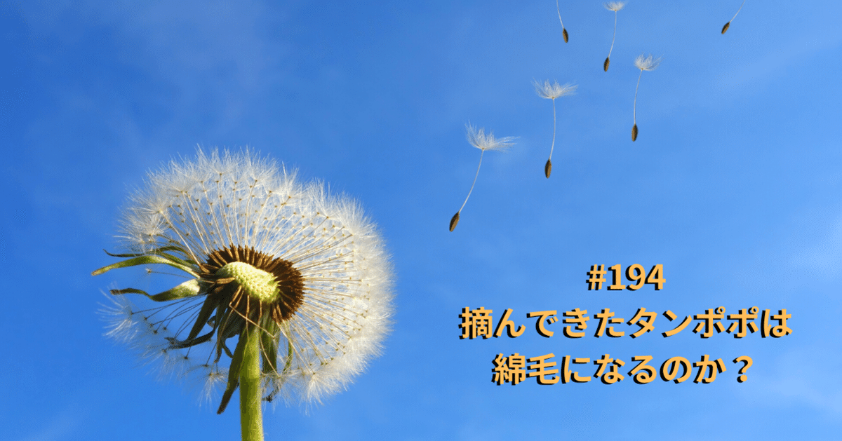 たんぽぽと綿毛様　おまとめ割　フォロー割　専用です。 たんぽぽと綿毛様 おまとめ割 フォロー割 専用です。 Amazon.co