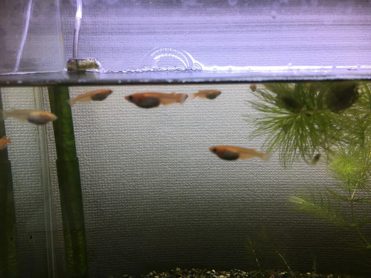 画像8