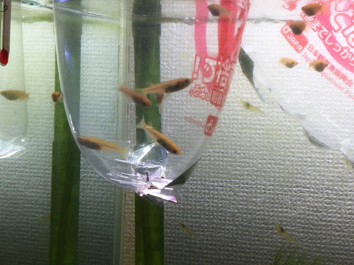 画像11