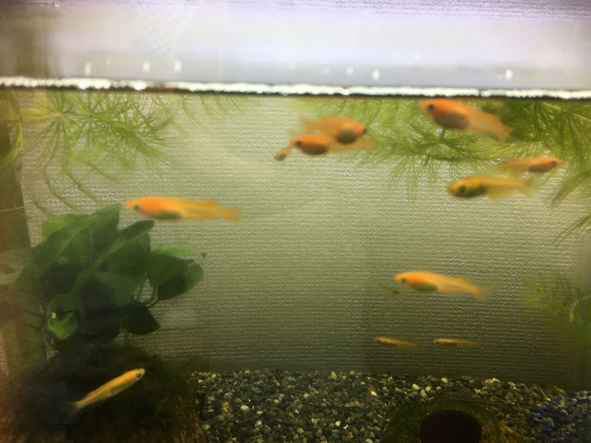 画像13