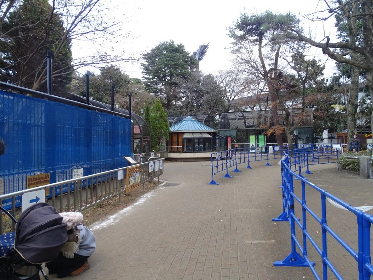 画像8