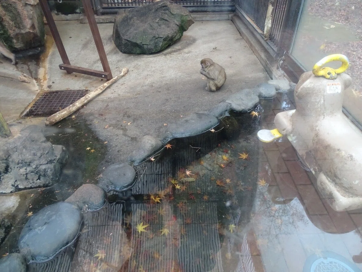 画像13