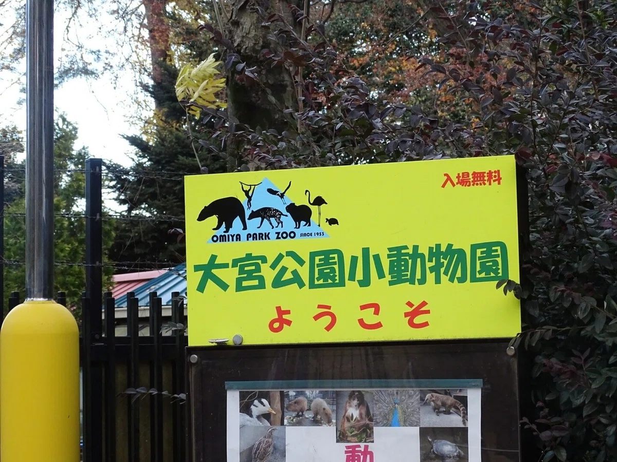 画像14