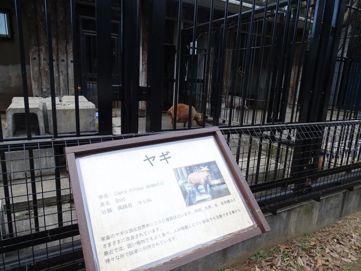 画像9