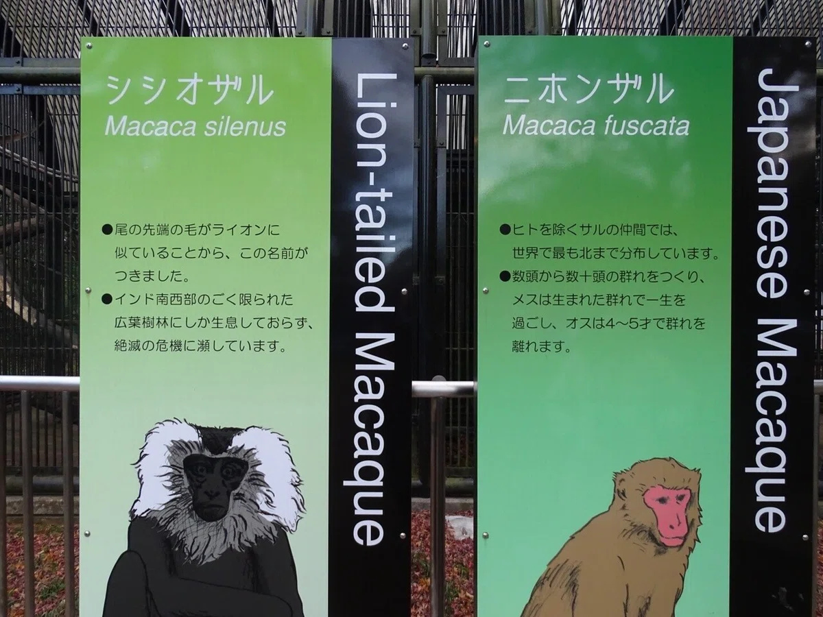 画像16