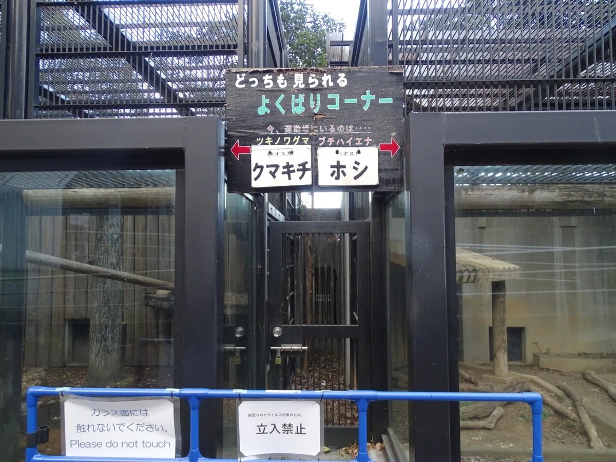 画像19