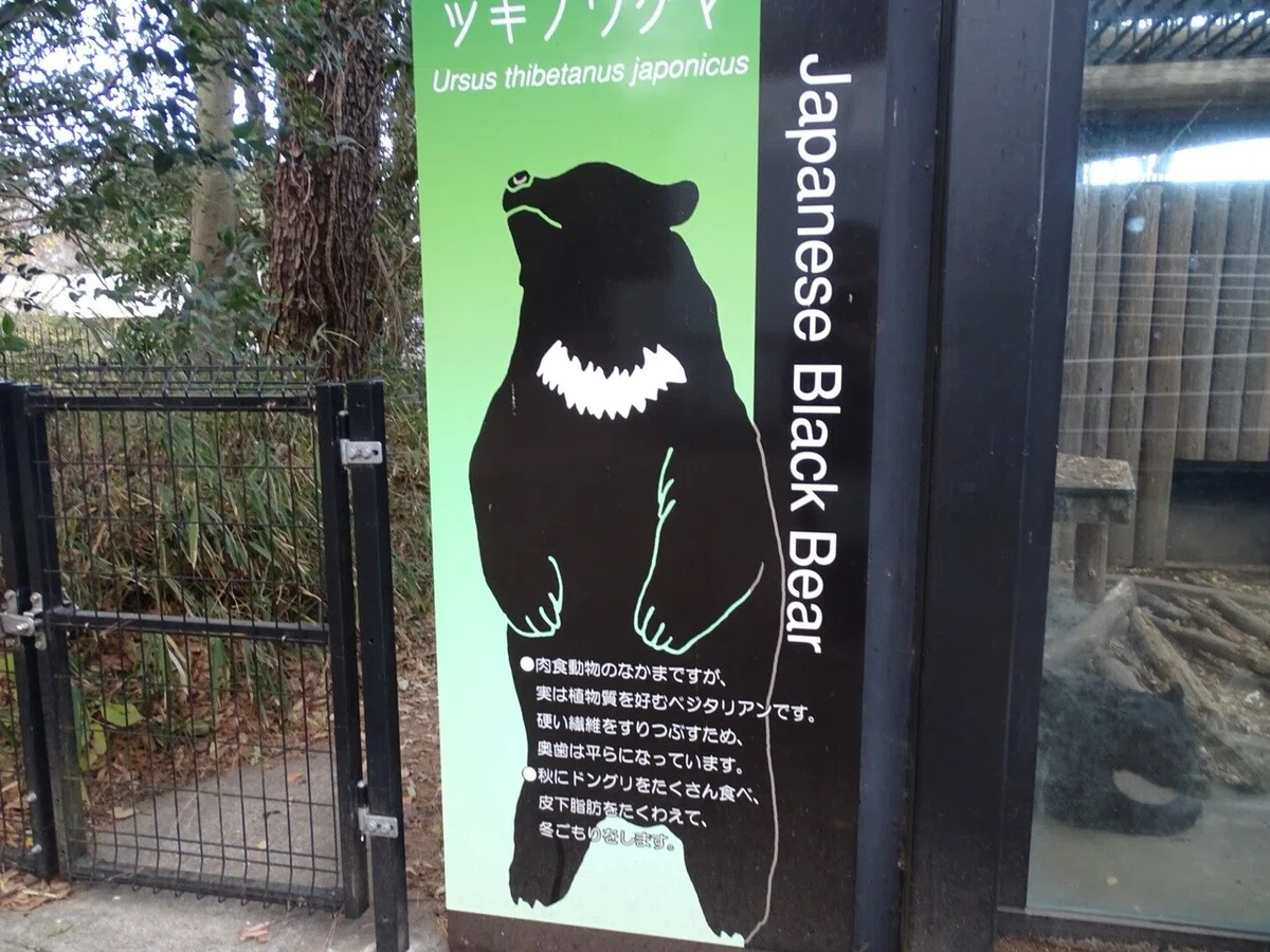 画像20