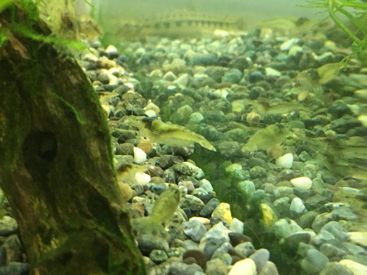 画像26