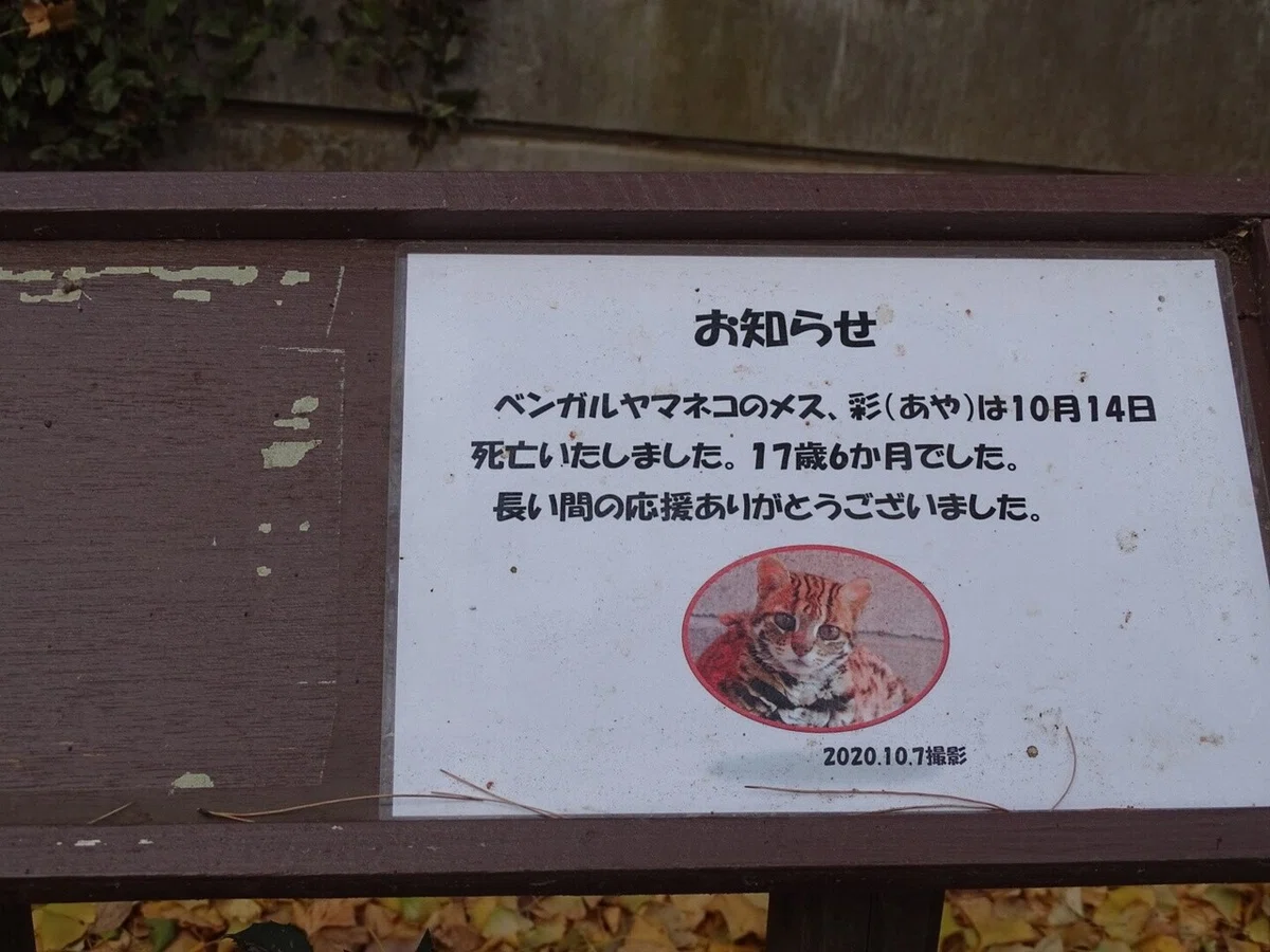 画像28