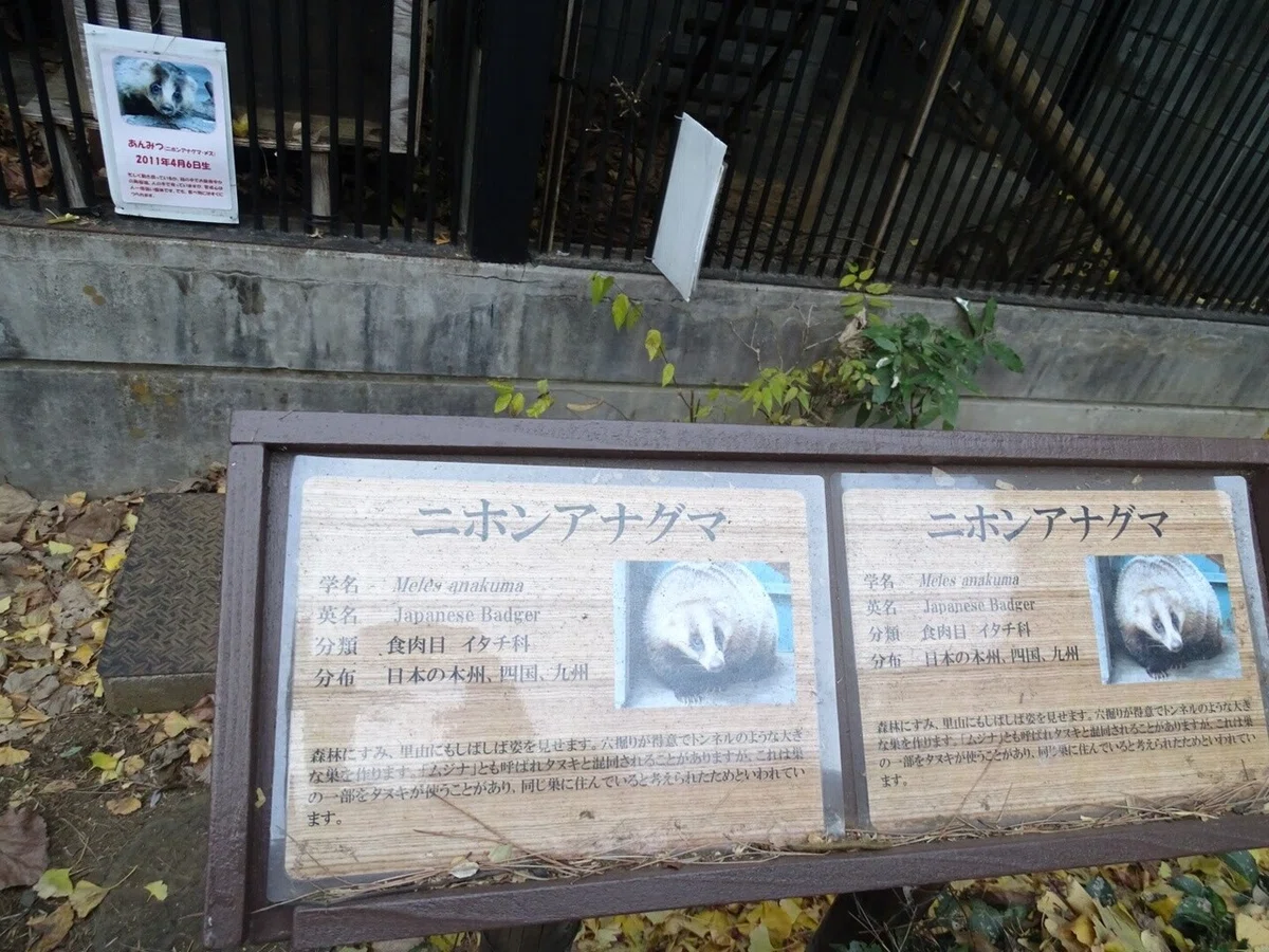 画像29