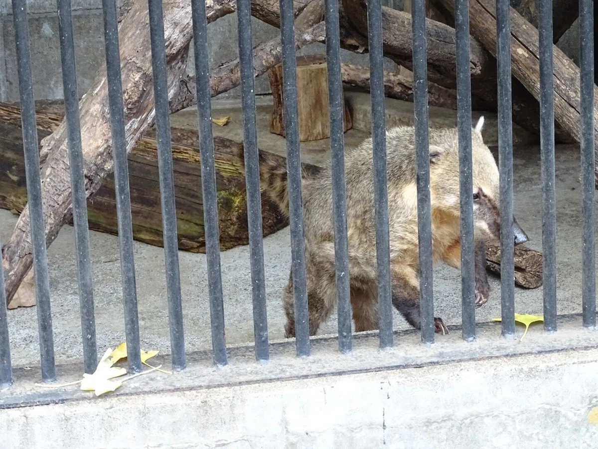 画像33