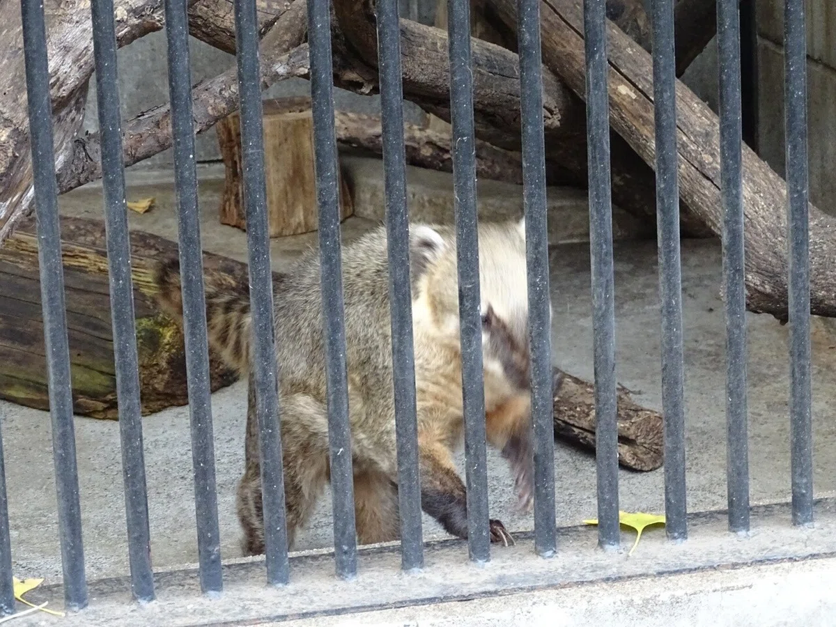 画像31