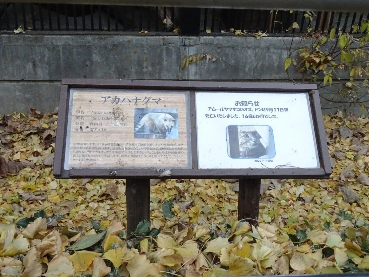 画像32